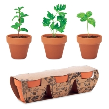 FLOWERPOT Molinių vazonėlių rinkinys – mėta, petražolė ir bazilikas (3vnt)