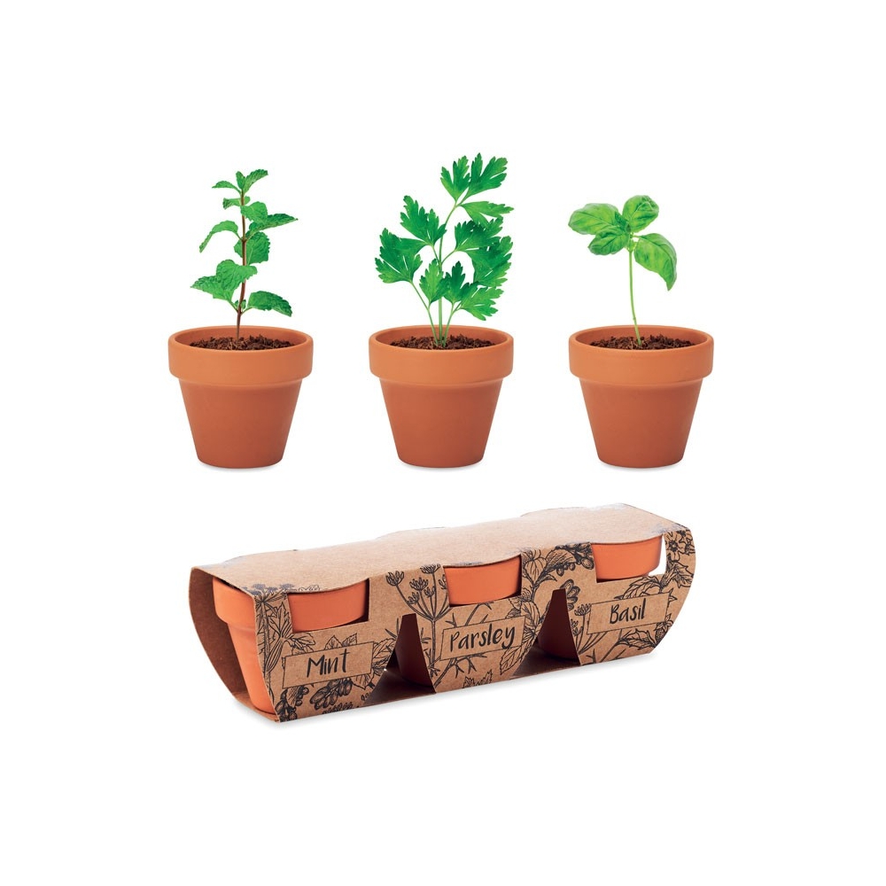 FLOWERPOT Molinių vazonėlių rinkinys – mėta, petražolė ir bazilikas (3vnt)