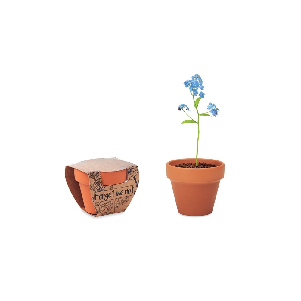 FORGET ME NOT Molinis vazonėlis „Neužmirštuolis“