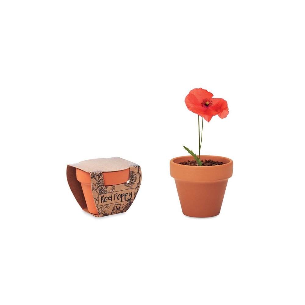 RED POPPY Molinis vazonėlis "Aguona"