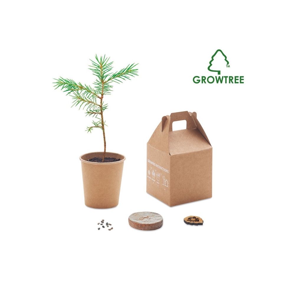 GROWTREE™ Ekologiška dovana su pušies sėklomis