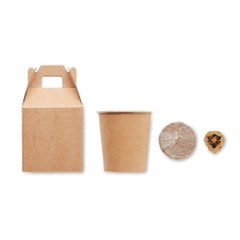 GROWTREE™ Ekologiška dovana su pušies sėklomis