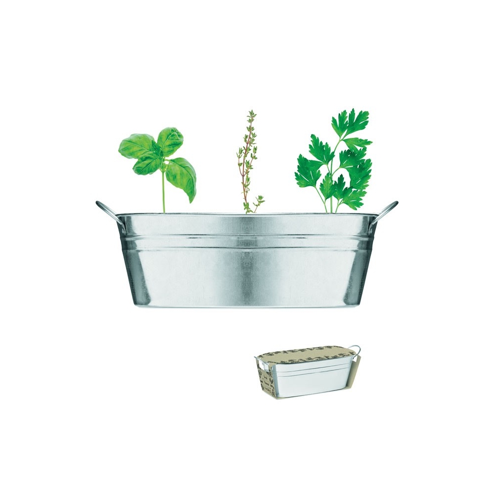 MIX SEEDS Cinkuotas vazonėlis su žolelių sėklomis 3vnt