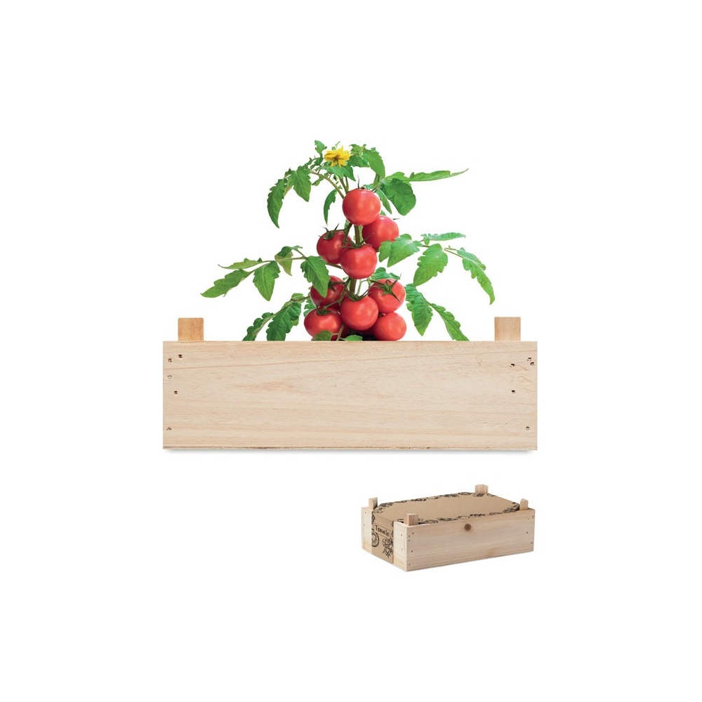 TOMATO Pomidorų auginimo rinkinys medinėje dėžutėje