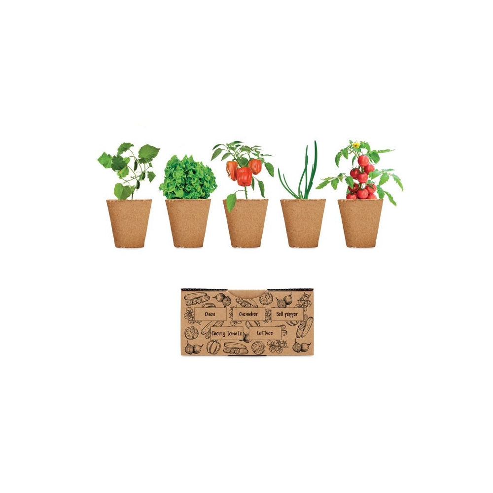 SALAD Salotų auginimo rinkinys dėžutėje