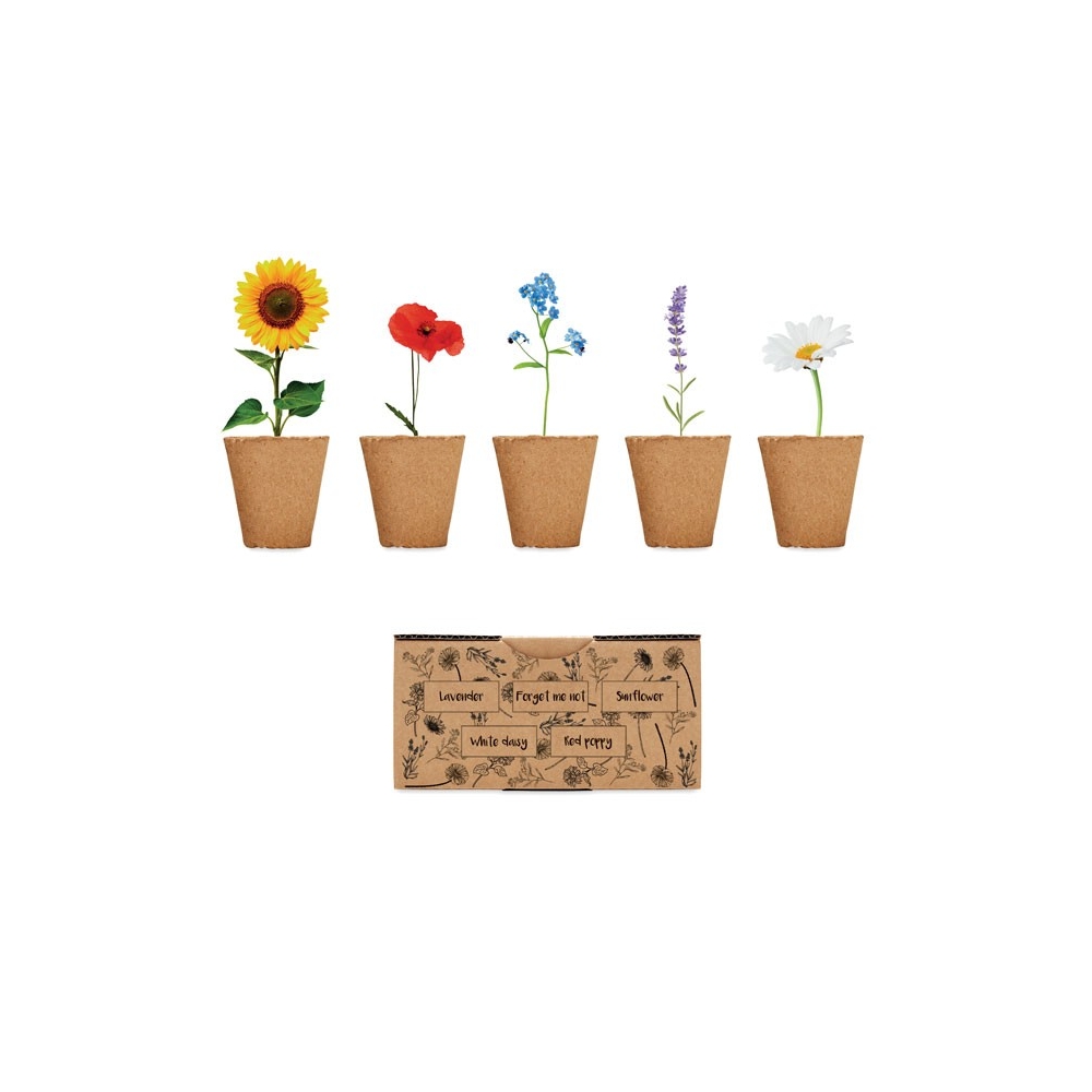 FLOWERS Gėlių auginimo rinkinys dėžutėje