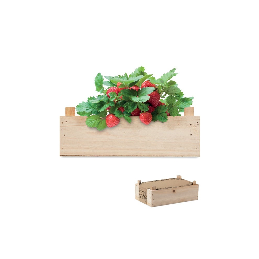 STRAWBERRY Braškių auginimo rinkinys medinėje dėžėje