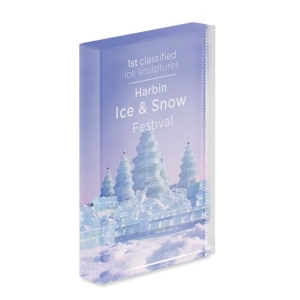 BLO Elegantiškas krištolinis apdovanojimas su dėžute