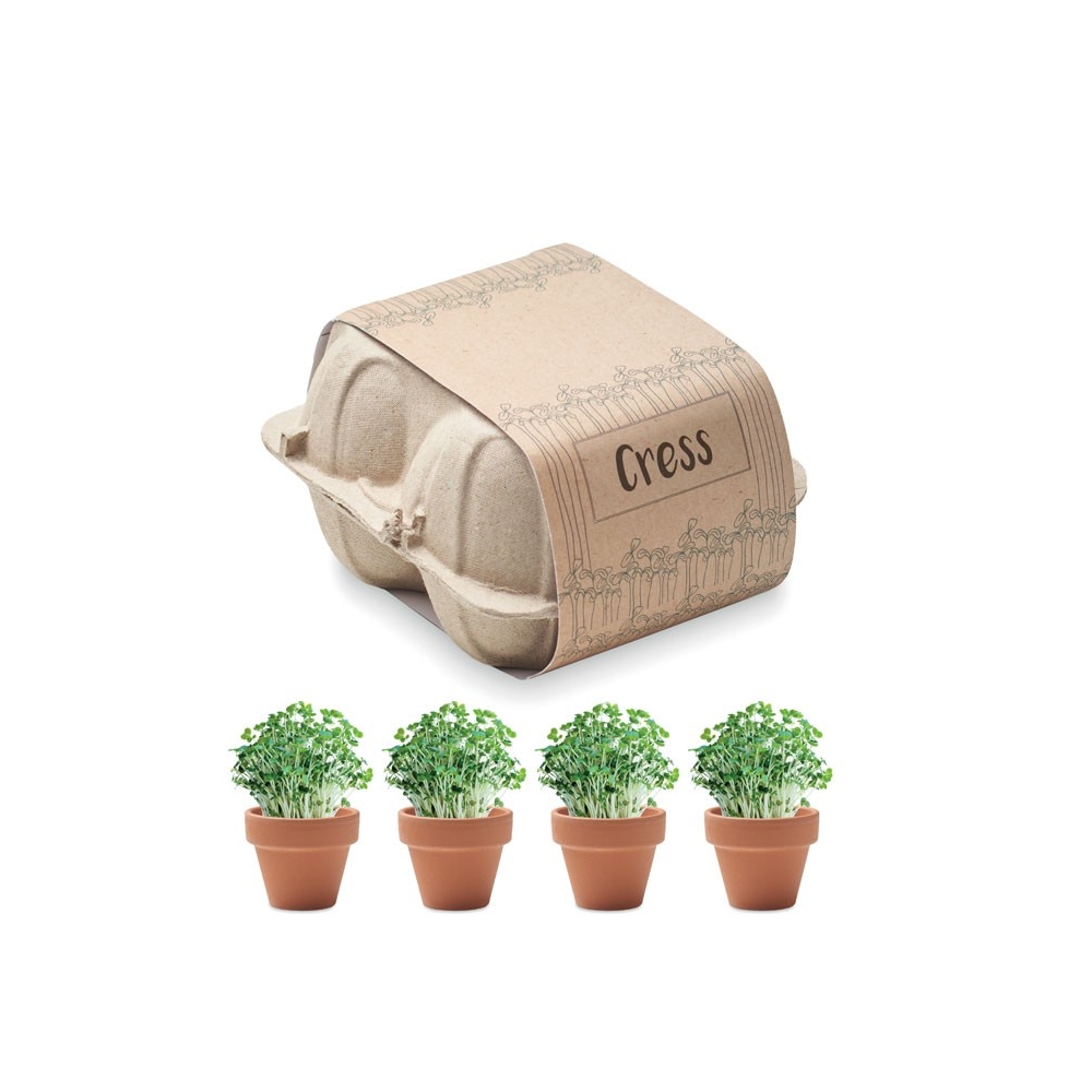 CRESS Terakotos vazonėlių rinkinys su sėklomis 4 vnt
