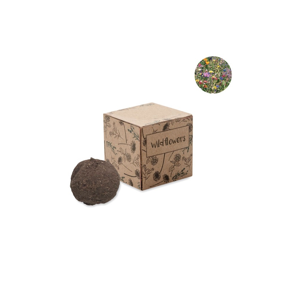 BOMBI Gėlių auginimo rinkinys dėžutėje su sėklų mišiniu