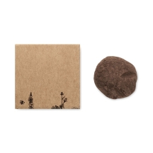 BOMBI II Gėlių auginimo rinkinys dėžutėje su bičių gėlių sėklomis