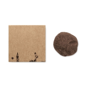 BOMBI II Gėlių auginimo rinkinys dėžutėje su bičių gėlių sėklomis