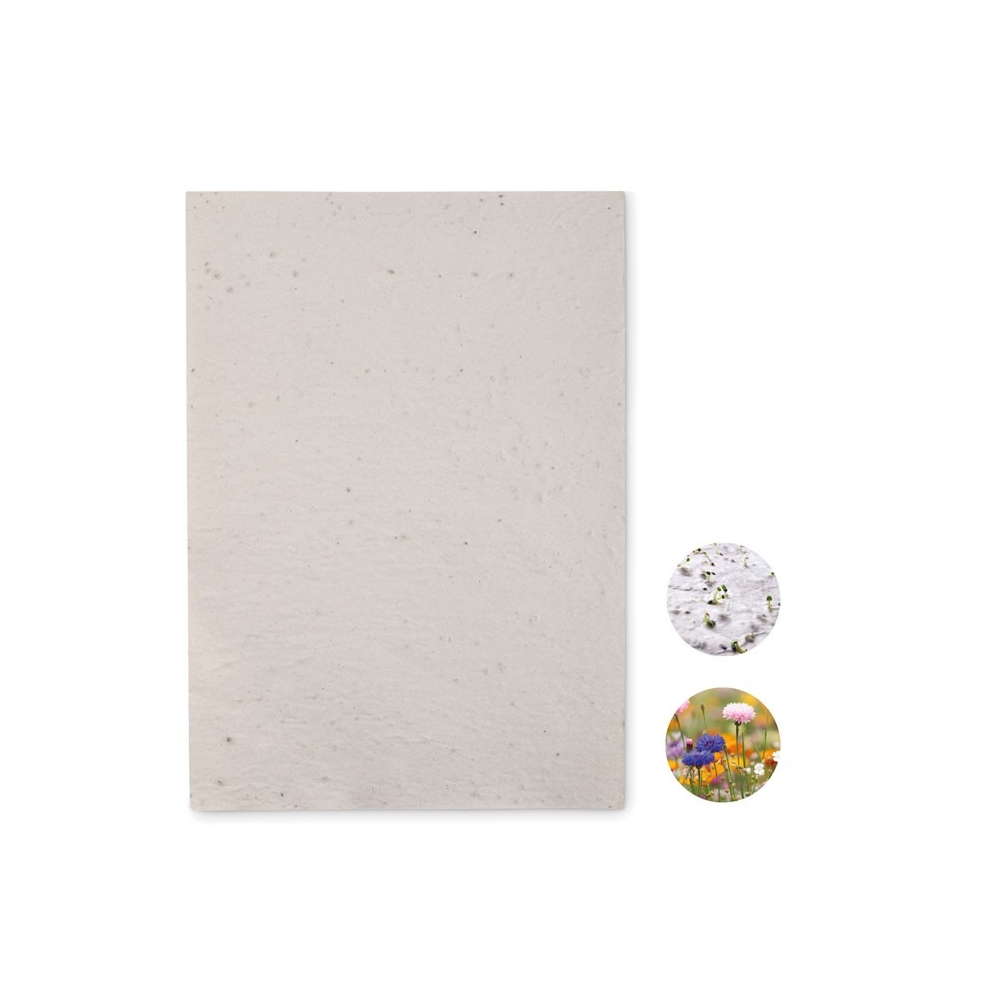 ASIDI Laukinių gėlių sėklų popierius A4, 80 g/m²