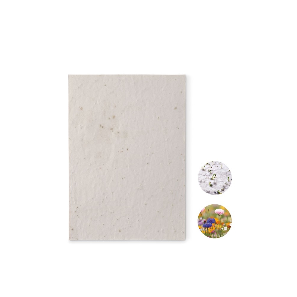 ASIDE Laukinių gėlių sėklų popierius A5, 80 g/m²