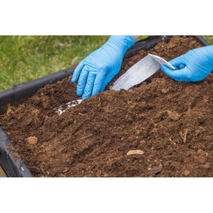 ROLL Žolelių sėklų juosta (3 m)