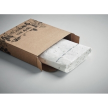 ROLL Žolelių sėklų juosta (3 m)