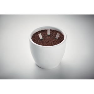 LEYTI Sėklų lazdelės (3 rūšių)