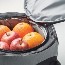 DONAU Nešiojama BBQ kepsninė su daugiafunkciu dėklu