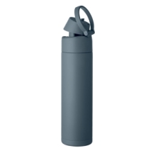 TOIEN ONE Termo gertuvė su šiaudeliu 650 ml