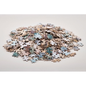 PAZZ Dėlionė puzlė (500 dalių)