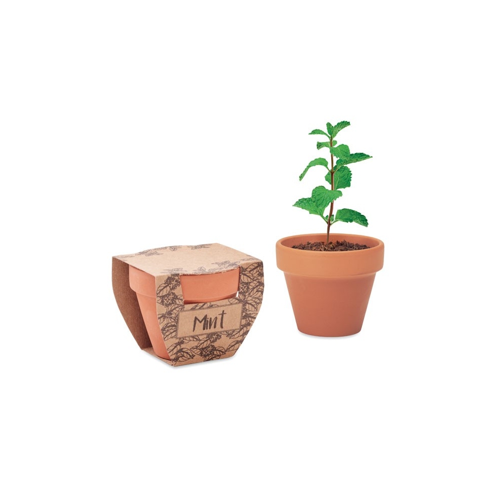 MINT POT Molinis vazonėlis su mėtos sėklomis