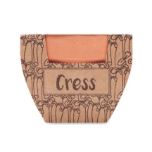 CRESS POT Molinis vazonėlis su ridikėlių sėklomis