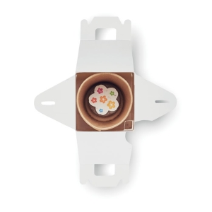 FULLHOUSE Gėlių auginimo rinkinys vaikams